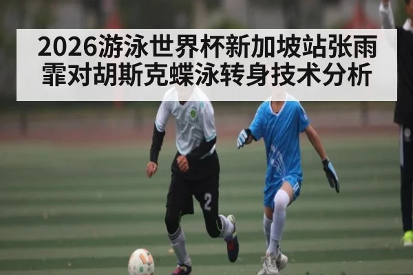 2026游泳世界杯新加坡站张雨霏对胡斯克蝶泳转身技术分析
